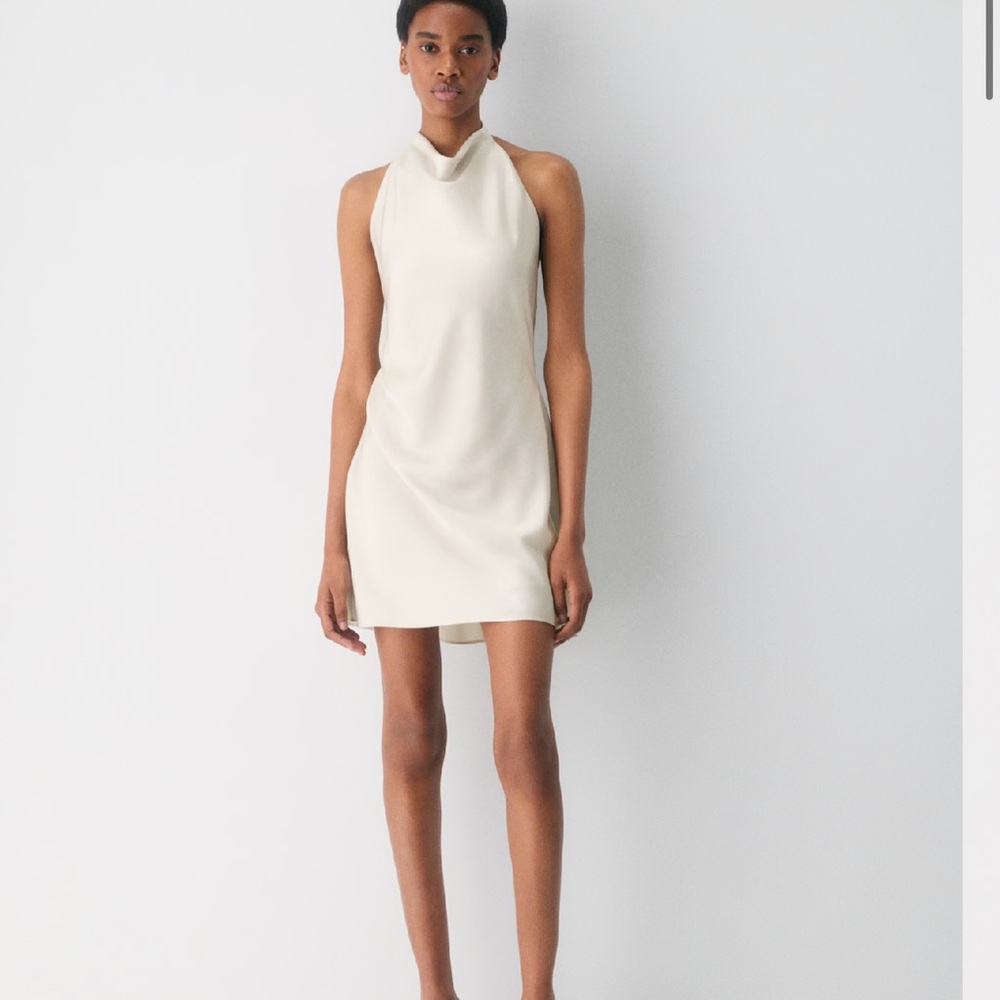 Aritzia Audience Dress